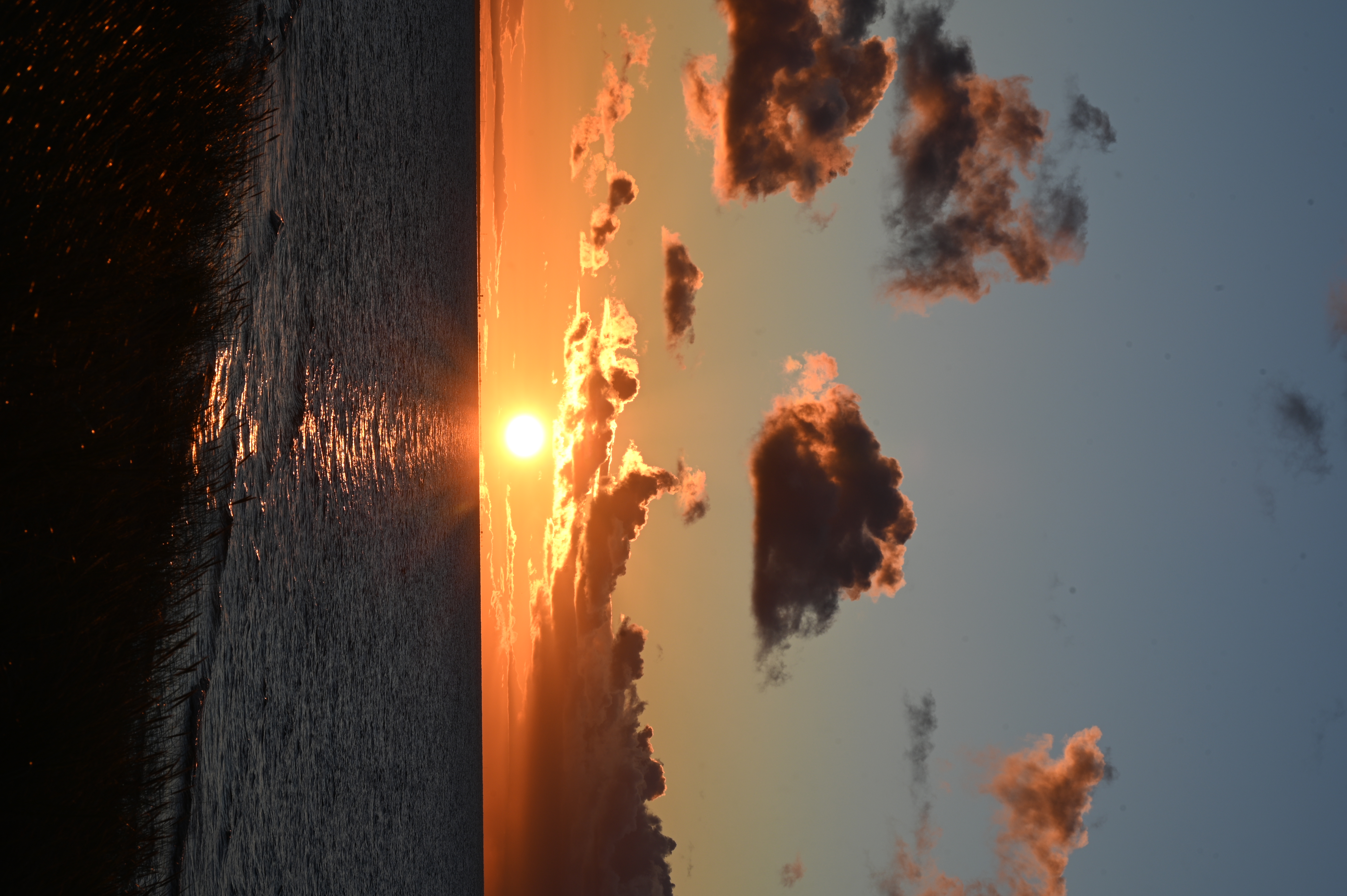 2025/10/18 - walk/DSC_0430.JPG